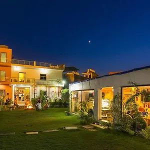 book here